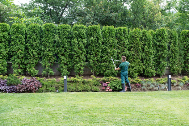 Professional Tree Removal and Landscaping Services in Netcong, NJ